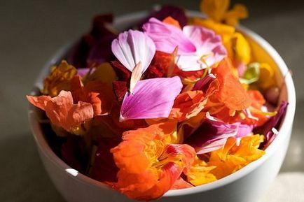 42 Bloom, care poate mânca (a mânca). 42 flori, pe care le puteți mânca
