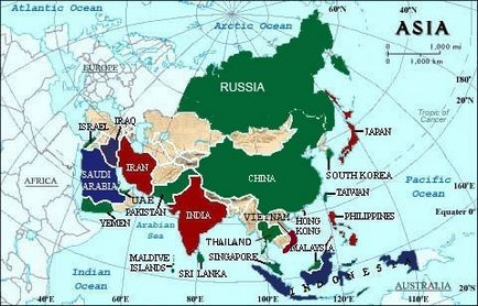 Rechinii din Thailanda trebuie să știți și dacă să-ți fie frică de, thaigovno (animale) Rechinii din Thailanda trebuie să știți și dacă să fie frică, thaigovno