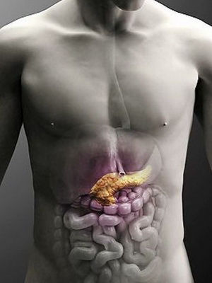 Anatomia imaginii pancreasului uman în cazul în care pancreasul în corpul uman (anatomie) Anatomia imaginii pancreasului uman în cazul în care pancreasul la om