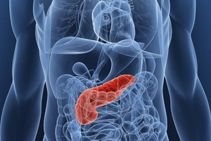 Anatomia imaginii pancreasului uman în cazul în care pancreasul in corpul uman (pancreas) Anatomia imaginii pancreasului uman în cazul în care pancreasul la om