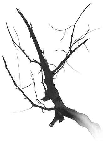 Andrew Lysikov - poezii - pagina 5 (coada zdrențuită cina zăpadă) Andrew Lysikov - poezii - pagina 5