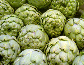 Artichoke proprietăți și contraindicații terapeutice (tratament) Artichoke proprietăți medicinale și contraindicații