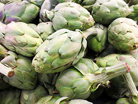 Artichoke proprietăți și contraindicații terapeutice (anghinare) Artichoke proprietăți medicinale și contraindicații