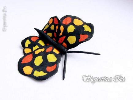 Butterfly din plastilină - Copii hack clasa de master cu foto (foto) Butterfly din plastilină - Copii hack master-class cu fotografii