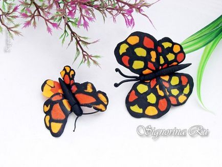 Butterfly din plastilină - Copii hack clasa de master cu fotografie (plastilina) Butterfly din plastilină - Copii hack master-class cu fotografii
