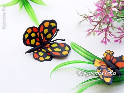 Butterfly din plastilină - Copii hack clasa de master cu foto (foto) Butterfly din plastilină - Copii hack master-class cu fotografii
