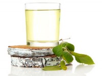 seva de mesteacan - beneficii si Harms, conținutul caloric (util) seva de mesteacan - beneficii si vatamare, calorii
