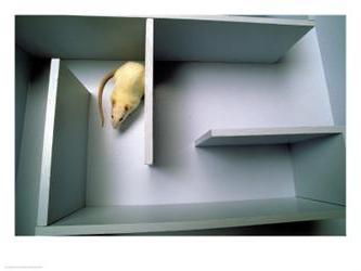 Behaviorismul - ceea ce este acest lucru (stimul poate provoca) Behaviorismul - este ceea ce