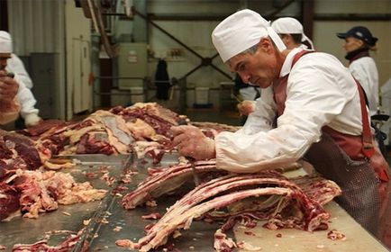 Shop deschiderea unui plan de afaceri pentru producția de cârnați „lapte“ (plan de afaceri) Planul de afaceri de deschidere a unui atelier de lucru pentru producția de cârnați „lactic“