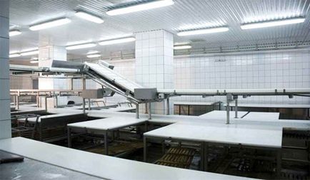 Shop deschiderea unui plan de afaceri pentru producția de cârnați „lapte“ (atelier) Planul de afaceri de deschidere a unui atelier de lucru pentru producția de cârnați „lactic“