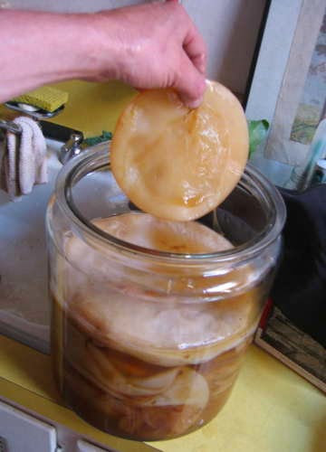blog sfaturi Kombucha cum să facă, utilizarea și contraindicații (ceai) blog sfaturi Kombucha cum să facă, utilizare și contraindicații