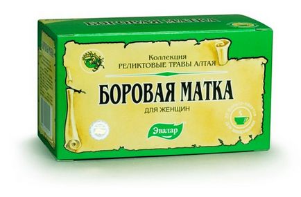 Borovaya uterului (ortiliya verso) arata ca, în cazul în care crește România proprietăți tinctura de iarbă în (o singură față) Borovaya uterului (ortiliya verso) arata ca, în cazul în care crește în România, proprietăți pe bază de plante,