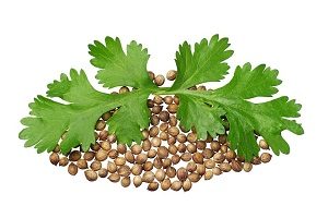 Spray-ul Sorrel Pest 1 (spray-ul Sorrel Pest) Spray-ul Sorrel Pest 1