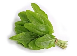 Spray-ul Sorrel Pest 1 (dăunătorilor) Spray-ul Sorrel Pest 1