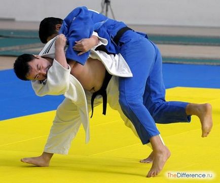 Ceea ce este diferit de Karate Judo (arta martiala japoneza) Ceea ce este diferit de judo karate
