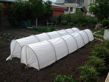 Ceea ce este diferit de sere cu efect de seră, foto și video de instruire (pentru a face propriile lor mâini) Ceea ce este diferit de sere cu efect de seră, fotografie și instruirea video de