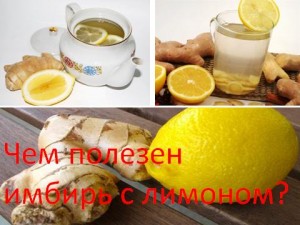 Ce este util ghimbir cu lamaie, medicul meu vrăjitoare (mijloace de lamaie) Ce este util ghimbir cu lamaie, medicul meu vrăjitoare
