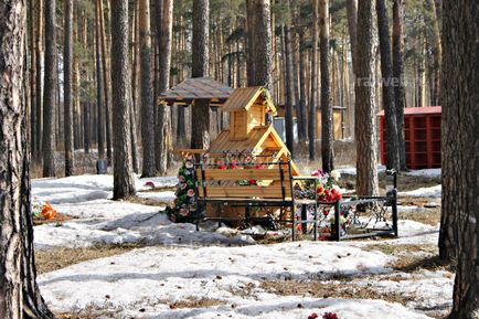 Ce se întâmplă dacă câinele sau pisica este mort (un cimitir pentru animale Ekaterinburg) Ce se întâmplă dacă câinele mort sau pisica