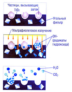 Ce este filtru catechina (a) Ce este filtru catechine