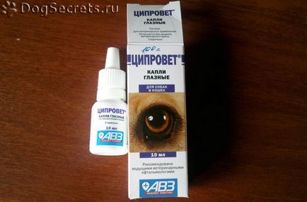 Instrucțiuni de câine Tsiprovet pentru utilizare, pret, recenzii (tsiprovet) Instrucțiuni de câine Tsiprovet pentru utilizare, preț, comentarii