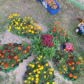 paturi de flori și flori (însoțitor) grădini de flori și paturi de flori