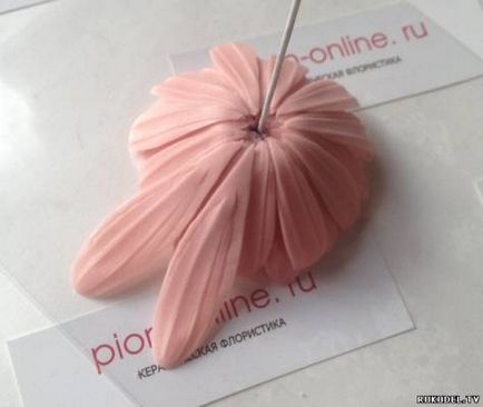 floare gerbera, ceramică floristika master class, partea 1 - flori de lut polimeric - (master) Gerbera flori, floristica ceramice, de Master Class, Partea 1 - flori din lut polimer -