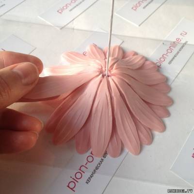 floare gerbera, ceramică floristika master class, partea 1 - flori de lut polimeric - (Gerbera) Gerbera flori, floristica ceramice, de Master Class, Partea 1 - flori din lut polimer -
