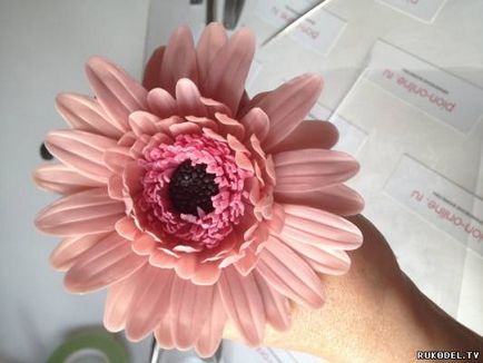 floare gerbera, ceramică floristika master class, partea 1 - flori de lut polimeric - (Gerbera) Gerbera flori, floristica ceramice, de Master Class, Partea 1 - flori din lut polimer -