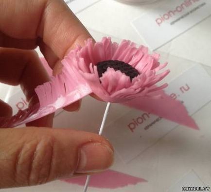 floare gerbera, ceramică floristika master class, partea 1 - flori de lut polimeric - (floare de) Gerbera flori, floristica ceramice, de Master Class, Partea 1 - flori din lut polimer -