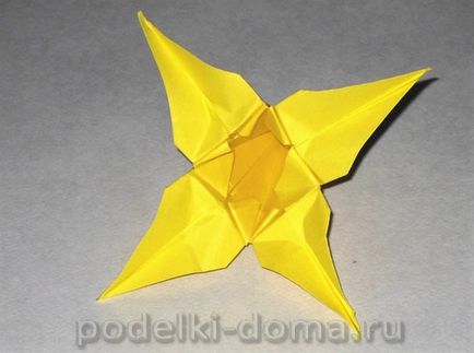 Iris flori din hartie (origami), o cutie de idei și ateliere de lucru (pliat) Iris flori din hartie (origami), o cutie de idei și ateliere