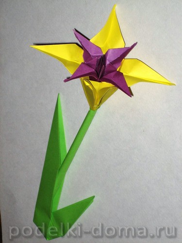 Iris flori din hartie (origami), o cutie de idei și ateliere (origami) Iris flori din hartie (origami), o cutie de idei și ateliere