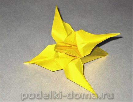 Iris flori din hartie (origami), o cutie de idei și ateliere de lucru (cum se face) Iris flori din hartie (origami), o cutie de idei și ateliere