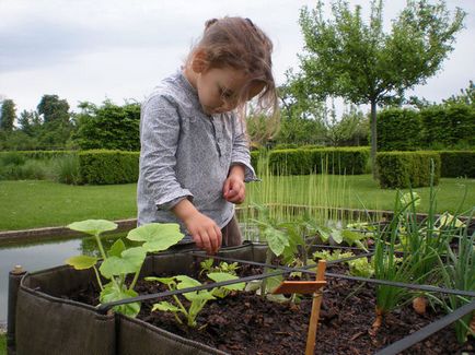 Copiii în amenajarea grădina de paturi pentru copii și o selecție de plante (îmbunătățire) Copiii în amenajarea grădina de paturi pentru copii și o selecție de plante