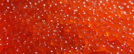 Extracția de icre roșii - cum și în cazul în care se produce caviar, sezonul de producție (ouă) Extracția de icre roșii - cum și în cazul în care se produce caviar, sezonul de producție