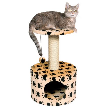 casă mică pentru o pisica cu propriile sale mâini (animale de companie) casă mică pentru o pisica cu propriile sale mâini