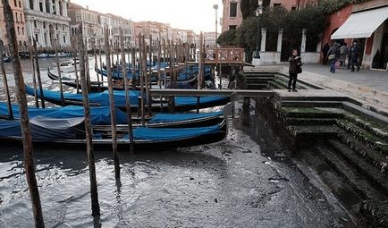 Altele Veneția (Veneția) un alt Veneția