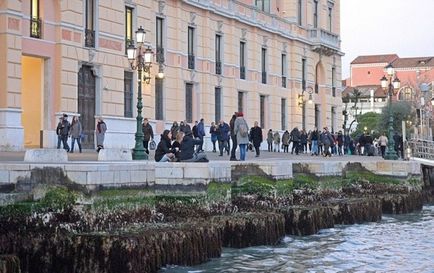 Altele Veneția (Veneția) un alt Veneția