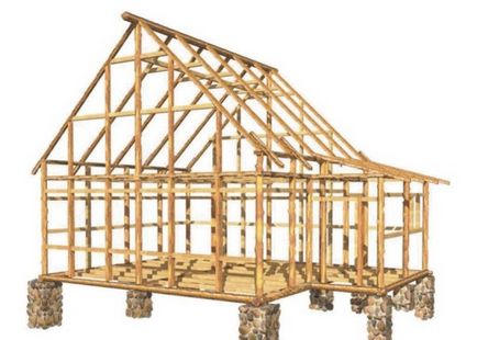 Examinarea de case din lemn (materiale de constructii) Examinarea de case din lemn