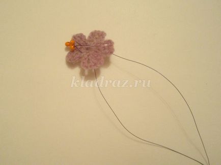 cârlig violetelor (klassneobychnye) cârlig violet