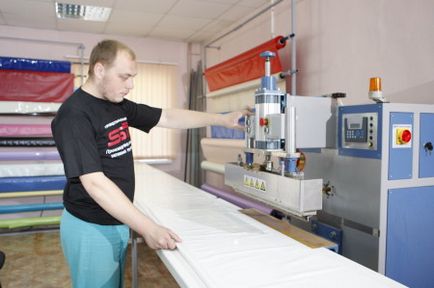 Harpon pentru tavane suspendate - producție și specii (specii) Harpon pentru tavane suspendate - producție și soiuri