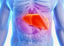colecist Hipotensiunea (hipotensiune arterială) Hipotonia vezicii biliare