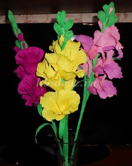 Gladiolus de hârtie creponată (hârtie) Gladiole de hârtie creponată