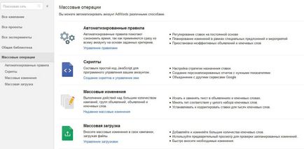 Google - stabilirea de publicitate propriile lor mâini, pentru ghidul de începători (Google) Google - stabilirea de publicitate propriile lor mâini, pentru ghid începători
