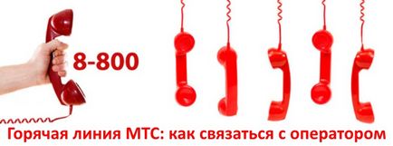 mts Hotline Contact MTS - o (adresa de serviciu de abonat) Ghid mts Contact MTS Hotline - un ghid