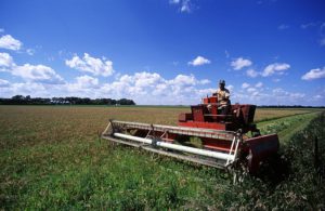 Un grant pentru dezvoltarea agriculturii în 2017 modul de a obține subvenții și sprijin guvernamental (de management) Un grant pentru dezvoltarea agriculturii în 2017 modul de a obține subvenții și sprijin guvernamental