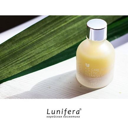 Istoria casei marca Etude, lunifera (lunifera) Istoria casei de brand etude, lunifera