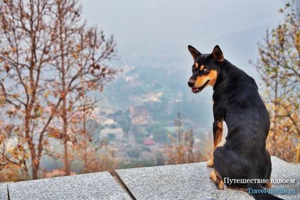Cum de a face fotografii în timp ce călătoresc - Eu locuiesc în tailandeya trăiesc în Thailanda (deplasare) Cum de a face fotografii în timp ce călătoresc - Eu locuiesc în tailandeya trăiesc în Thailanda