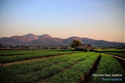 Cum de a face fotografii în timp ce călătoresc - Eu locuiesc în tailandeya trăiesc în Thailanda (deplasare) Cum de a face fotografii în timp ce călătoresc - Eu locuiesc în tailandeya trăiesc în Thailanda