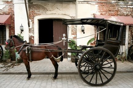 Ca Geely (Gili) fac engleza taxi (scump) Ca Geely (Gili) fac engleza taxi