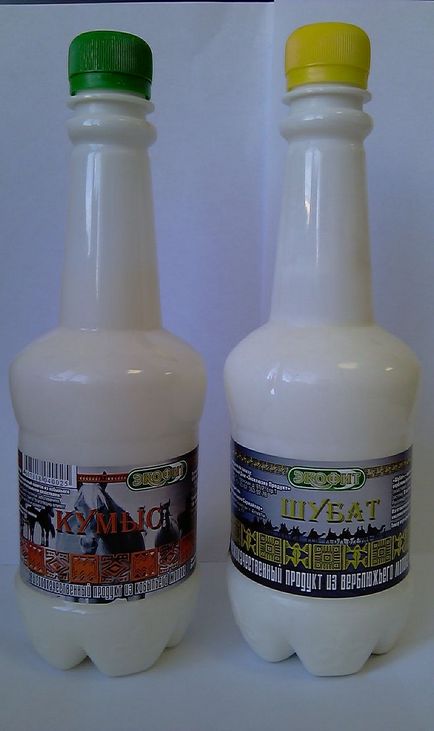 Ce produse sunt obținute din lapte de cămilă decât în cazul utilizării lor (produse lactate) Ce produse sunt obținute din lapte de cămilă decât în utilizarea lor
